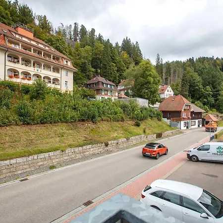 Apartamento Albzeit Naturholzapartments St. Blasien